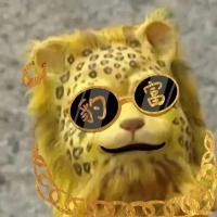 扬帆起航